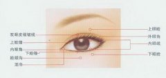 中國女性上瞼形態(tài)分類極其改良