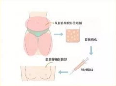 能瘦身，還能豐胸。