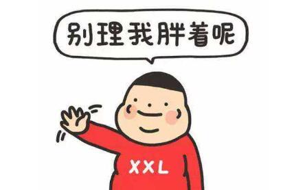 自體脂肪的成活率大約多少錢?