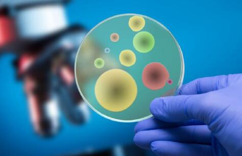 自體脂肪填充臉頰有風險嗎?