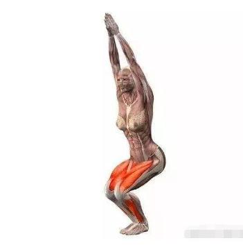 下蹲矯正法鍛煉小腿內(nèi)側(cè)肌肉