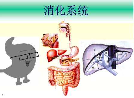 化系統(tǒng)問題