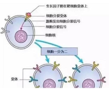 填充之后的副作用！勸你趕緊取出來(lái)！