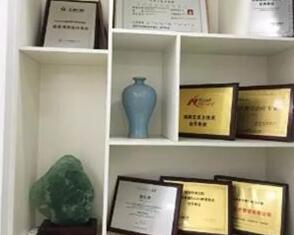 張鋒醫(yī)生榮譽(yù)