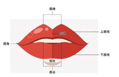 玻尿酸豐唇后多久能接吻？打開kiss的正確方式！