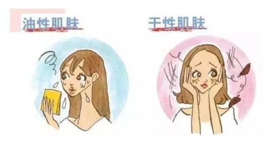 與干性皮膚和油性皮膚相關(guān)