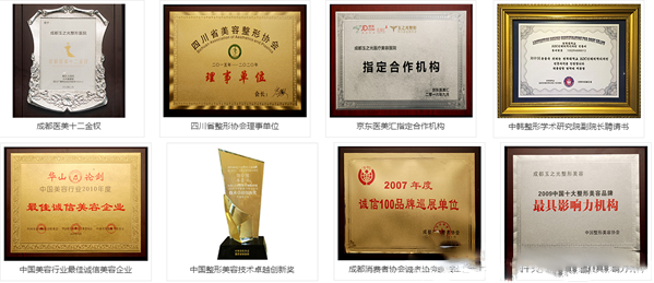 成都潤美玉之光整形美容醫(yī)院榮譽獎牌