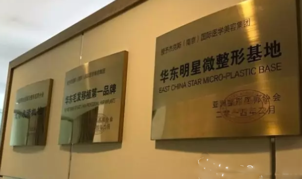 南京江寧杰克斯獲得榮譽