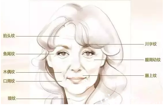 　長春萊美面臨升級