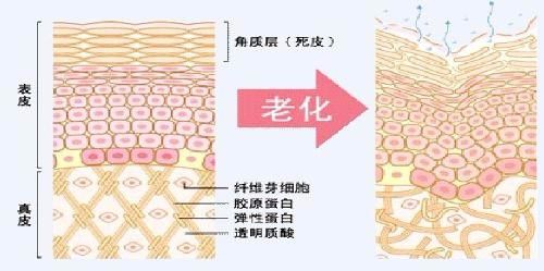 做了脂肪填充過后是否會發(fā)生腫塊、凸凹不平的狀況？