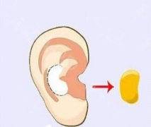 肋骨pk耳軟骨，隆鼻材料這兩種到底哪一種更好？