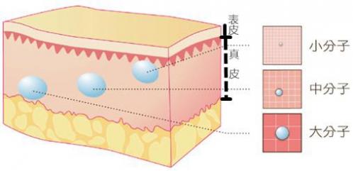 感受一下注射美容術(shù)的強(qiáng)大功