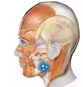 咬肌切除手術(shù)風(fēng)險(xiǎn)大么？想瘦臉還得注意這些事……