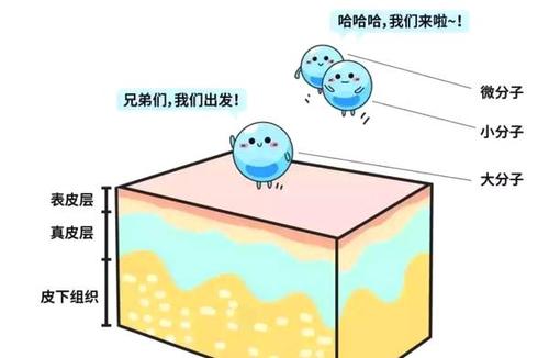 真正懂透明質(zhì)酸玻尿酸的人才是醫(yī)美界的高手！