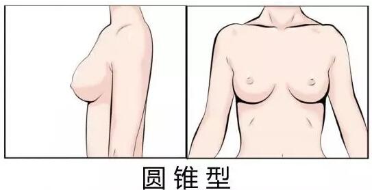 這樣的乳房審美才是精心雕刻