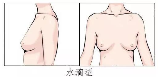 這樣的乳房審美才是精心雕刻