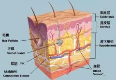 這個吸脂層次要做的好了 你的身材就妥妥的了！