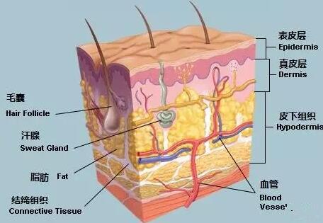 這個(gè)吸脂層次要做的好了