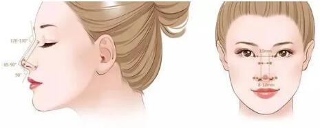 鼻子的美可是至關重要