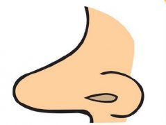 誰適合做鼻孔整容？2021鼻孔整形價格表【10月】更新中