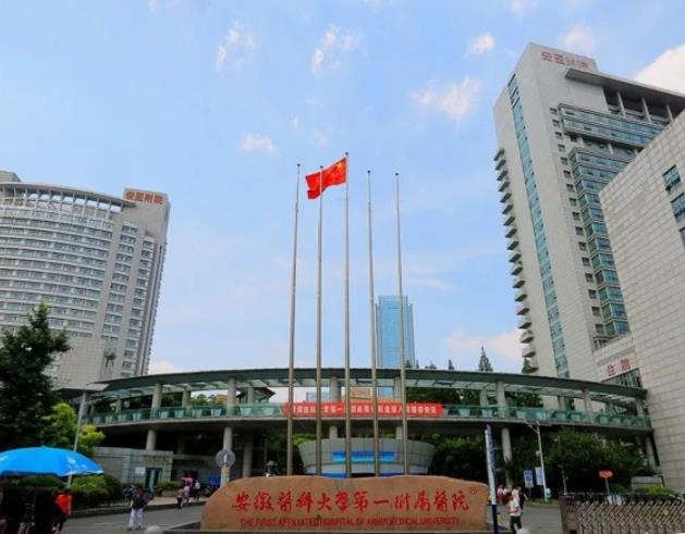 2022合肥植發(fā)醫(yī)院匯總單整理！公立vs私立！口碑價(jià)格不上相上下