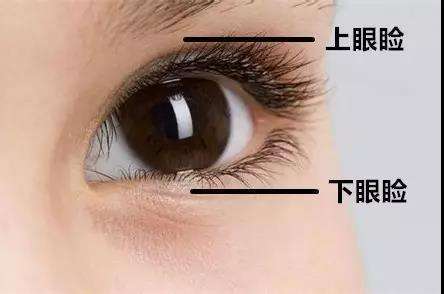 眼瞼抽脂是不是長期性的？眼瞼抽脂適合哪些人？
