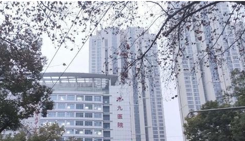 武漢市第九醫(yī)院.jpg