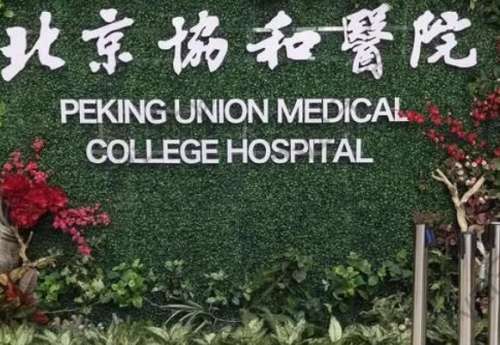 北京協(xié)和醫(yī)院脂肪填充價(jià)格是多少？斯樓斌醫(yī)生簡介/掛號預(yù)約一覽